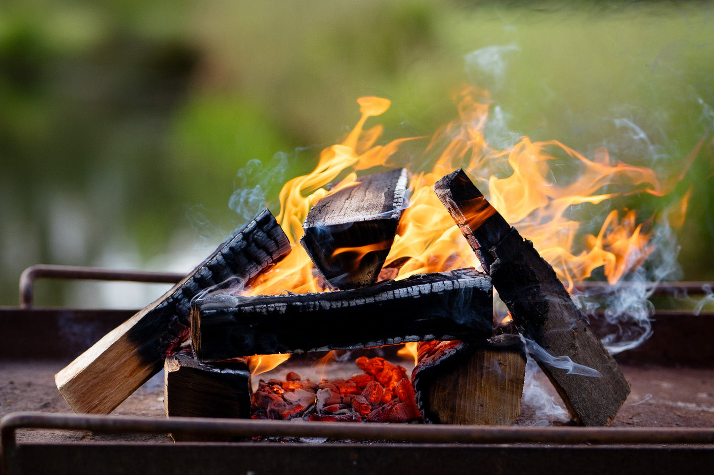 A fire cage with food cooking above a live wood fire