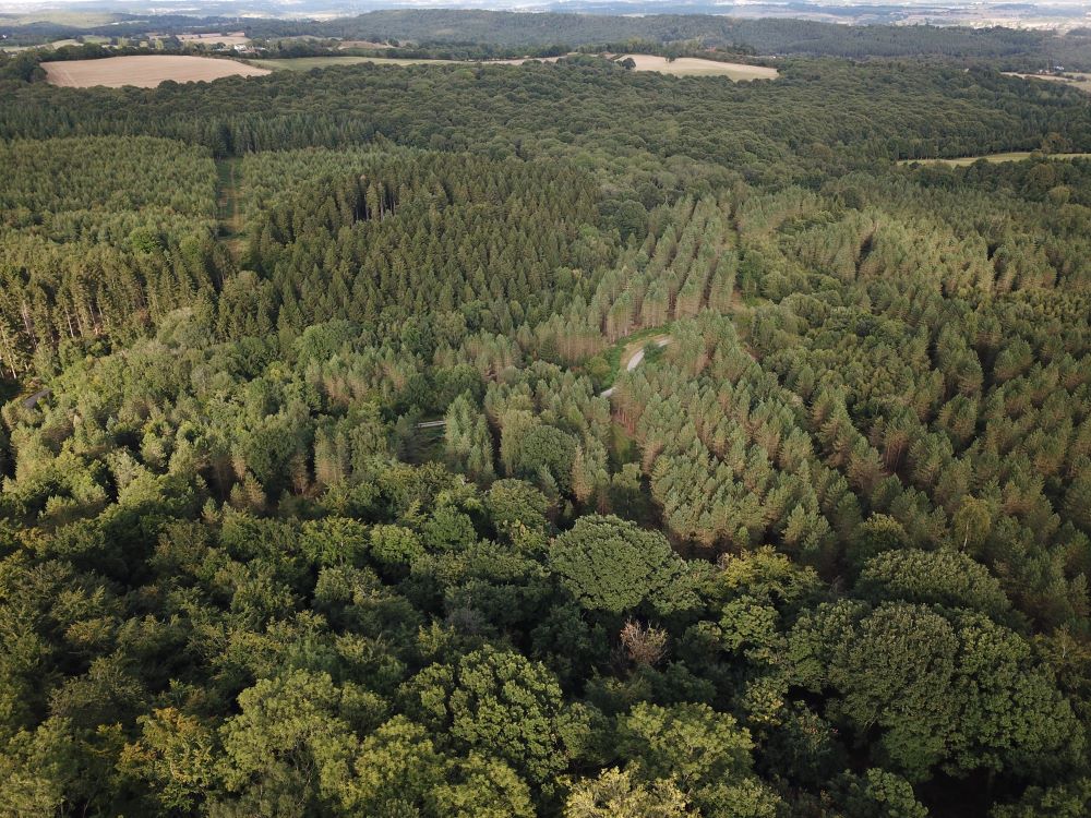 A drone shot of the English countryside