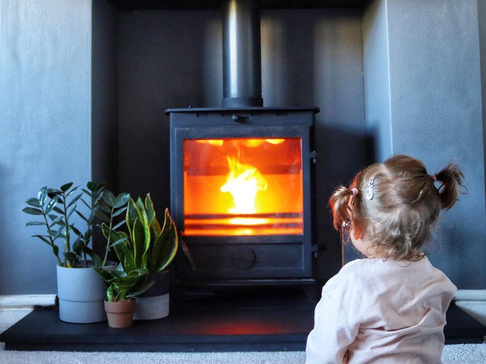 Logs burning in log burner