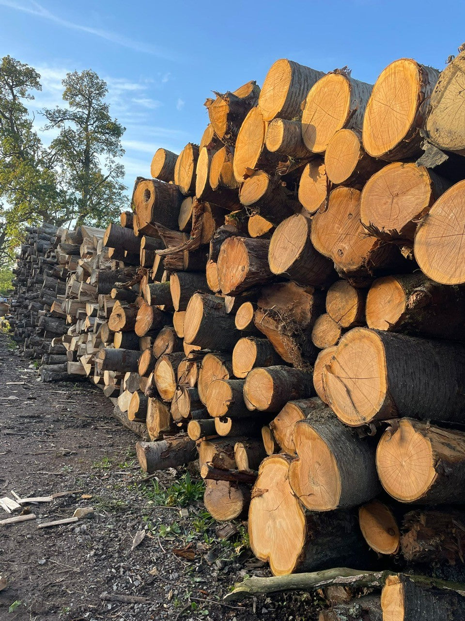 British wood timber stack