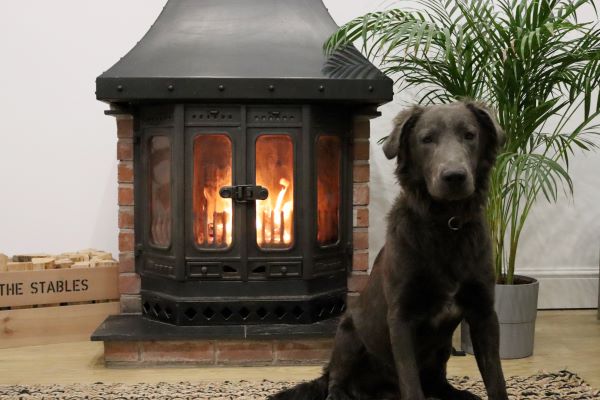 A dog sitting next to an alight log burner