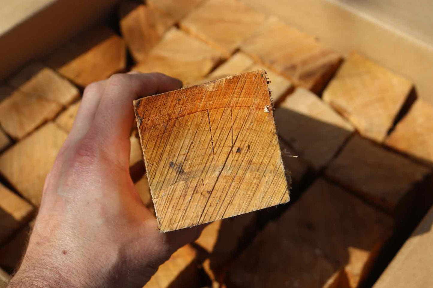 Kiln Dried Cherry Log End View in Hand